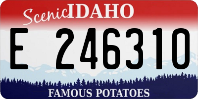 ID license plate E246310