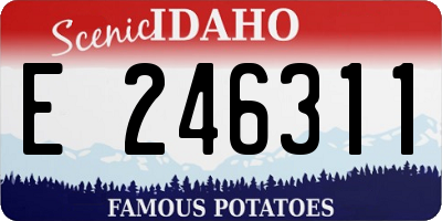 ID license plate E246311