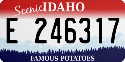ID license plate E246317