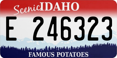ID license plate E246323