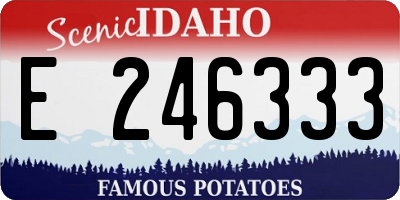 ID license plate E246333