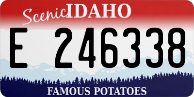 ID license plate E246338