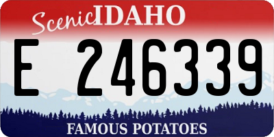 ID license plate E246339