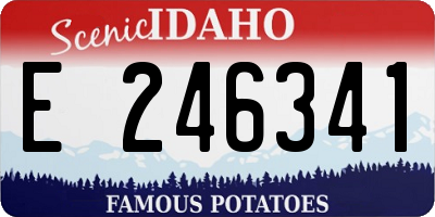 ID license plate E246341