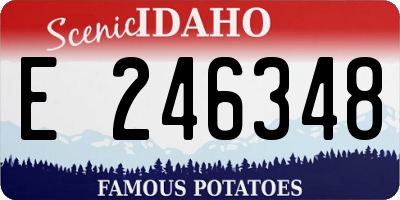 ID license plate E246348