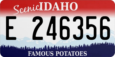 ID license plate E246356