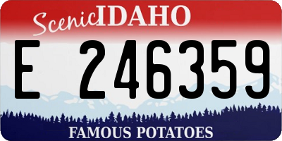 ID license plate E246359
