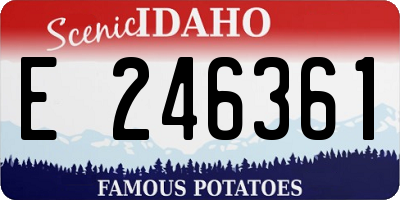 ID license plate E246361