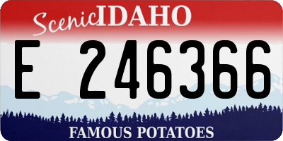 ID license plate E246366