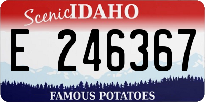 ID license plate E246367