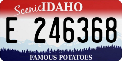 ID license plate E246368