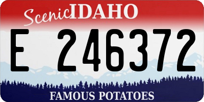 ID license plate E246372