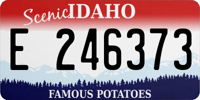 ID license plate E246373