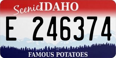 ID license plate E246374