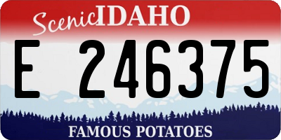 ID license plate E246375