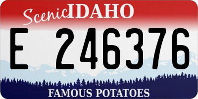 ID license plate E246376