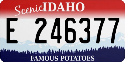 ID license plate E246377