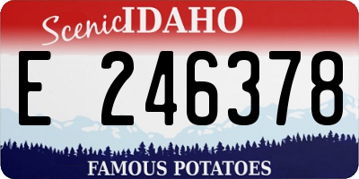 ID license plate E246378