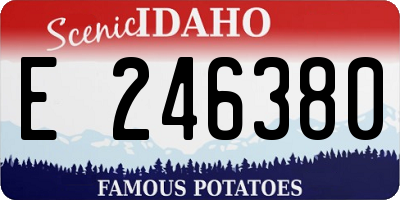 ID license plate E246380