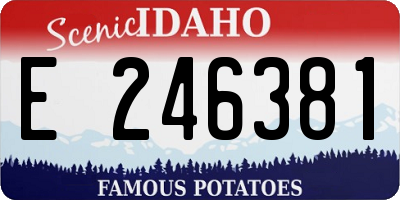 ID license plate E246381