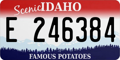 ID license plate E246384