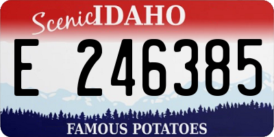 ID license plate E246385