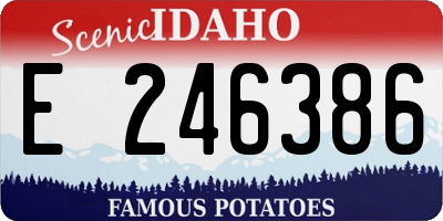 ID license plate E246386