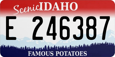 ID license plate E246387
