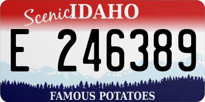 ID license plate E246389