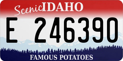 ID license plate E246390