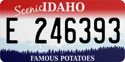 ID license plate E246393