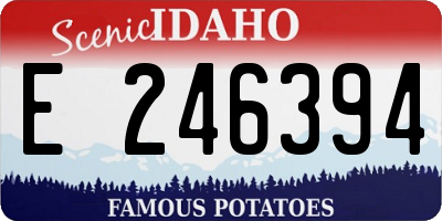 ID license plate E246394