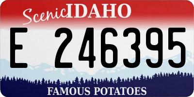 ID license plate E246395