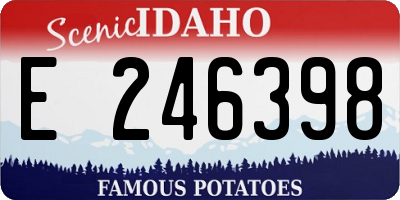ID license plate E246398