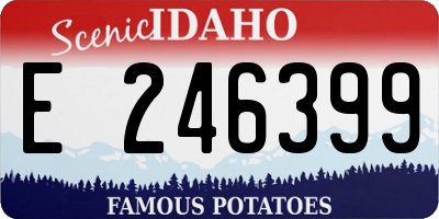 ID license plate E246399