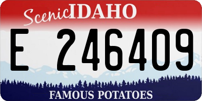ID license plate E246409