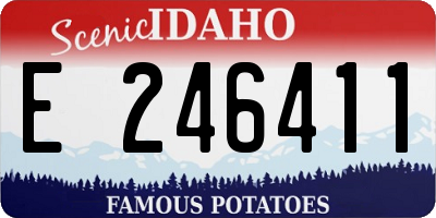 ID license plate E246411