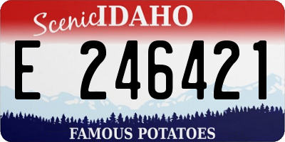 ID license plate E246421