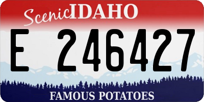 ID license plate E246427