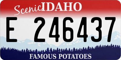 ID license plate E246437