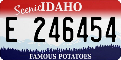 ID license plate E246454