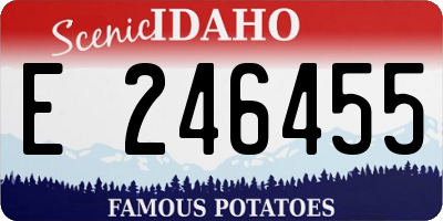 ID license plate E246455