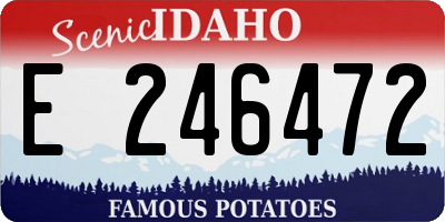 ID license plate E246472