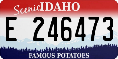 ID license plate E246473