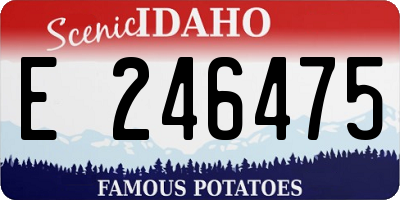 ID license plate E246475