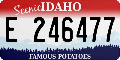 ID license plate E246477