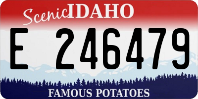 ID license plate E246479
