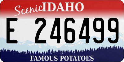 ID license plate E246499