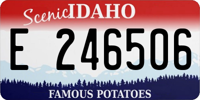 ID license plate E246506
