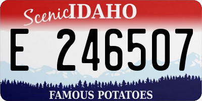 ID license plate E246507